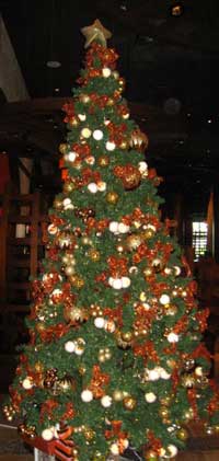 Holiday tree, Dubai, January 2010