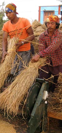 Mechanized Rice Threshing, Chitwan, Nepal, 2008