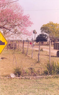 Rural village, Argentina, early 2000s